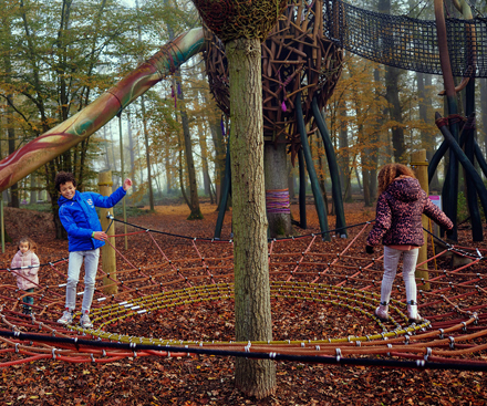 Legends of the Forest