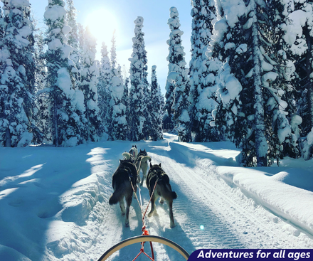Adventures in Ruka